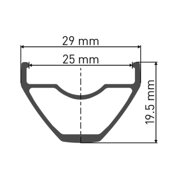 X 1900 SPLINE Laufrad 29" CL 25 142/12 XD
