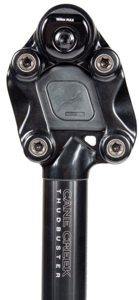 Cane Creek Thudbuster Short Travel 31.6, Black, 4G