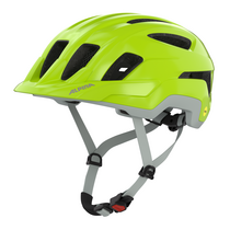 Alpina Paranus MIPS, be-visible grey matt, 52-56