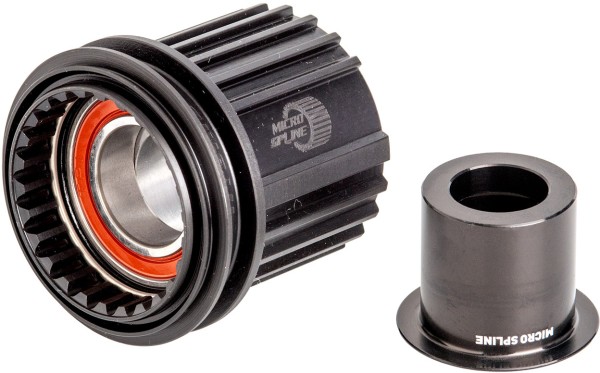 DT Swiss Leerlaufkörper Shimano Micro Spline Stahl, Ratchet 12x142mm und 12x148mm 12-fach