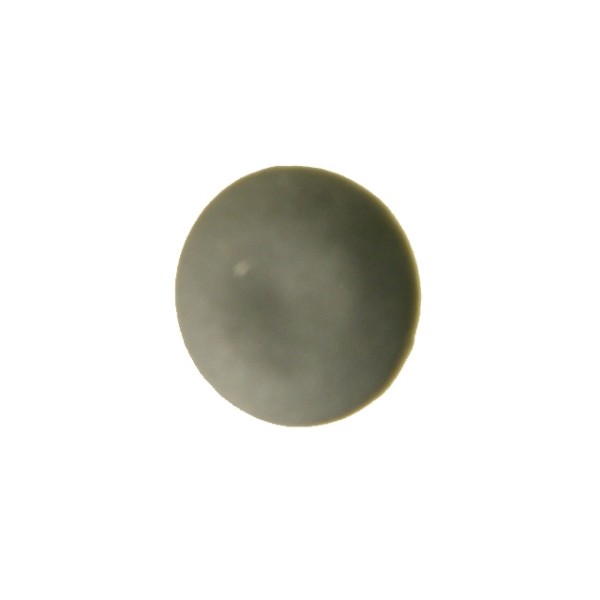 Abdeckkappe M5/9mm für Imbus Inbus M5 / 9mm schwarz