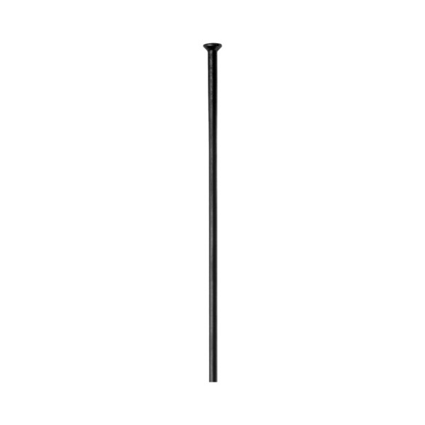 DT SWISS Champion Straightpull Speichen 2.0 schwarz 282mm 100 Stk.