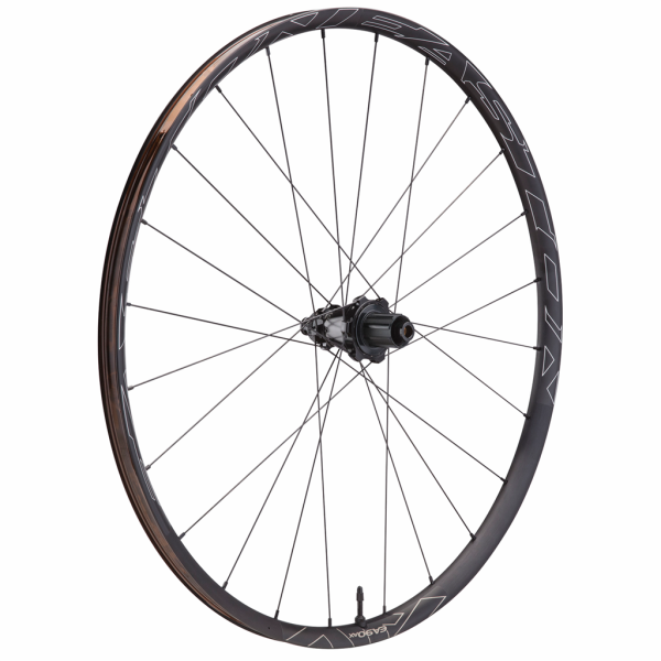 EA90 AX Road CLN Disc Rear Wheel 12x142 SHI Body 28"