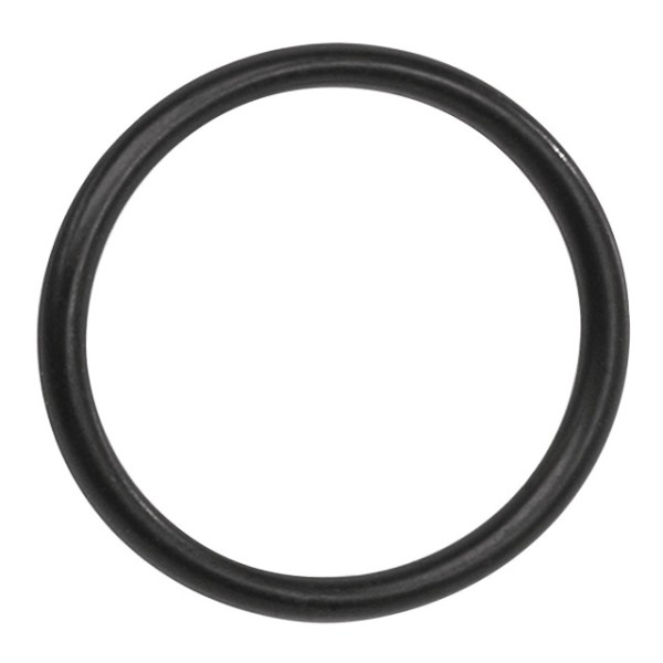 Bosch O-Ring zur Montage des Kettenblatt in Kombination mit Lockring BDU3xx