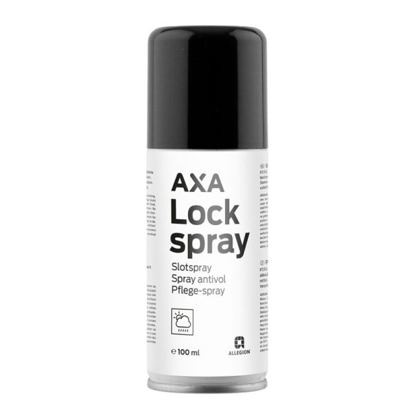 Schlösserspray Schmiermittel/Reinigung 100ml