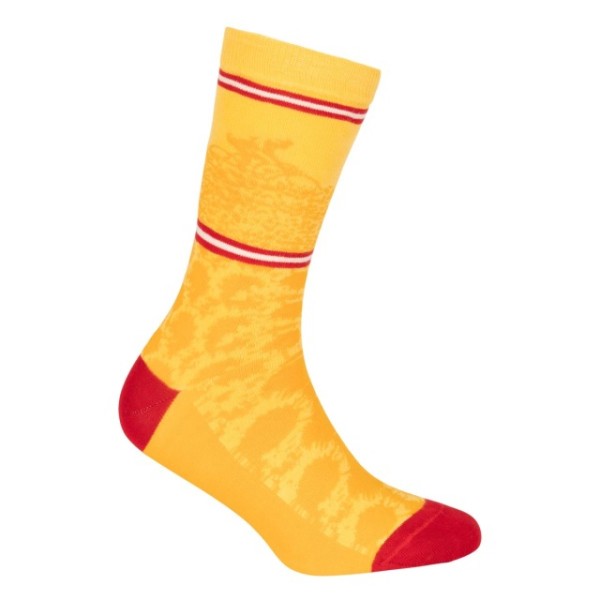 Le Patron Fiets Magazine Tournesols Socks french vanilla 39-42