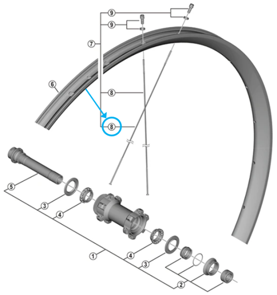 Shimano Speiche WH-RX570-TL-700C 296mm