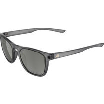Alpina GLEAM grey transparent/green