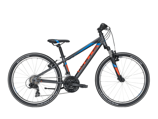 Bulls Tokee 20“ Grau Matt